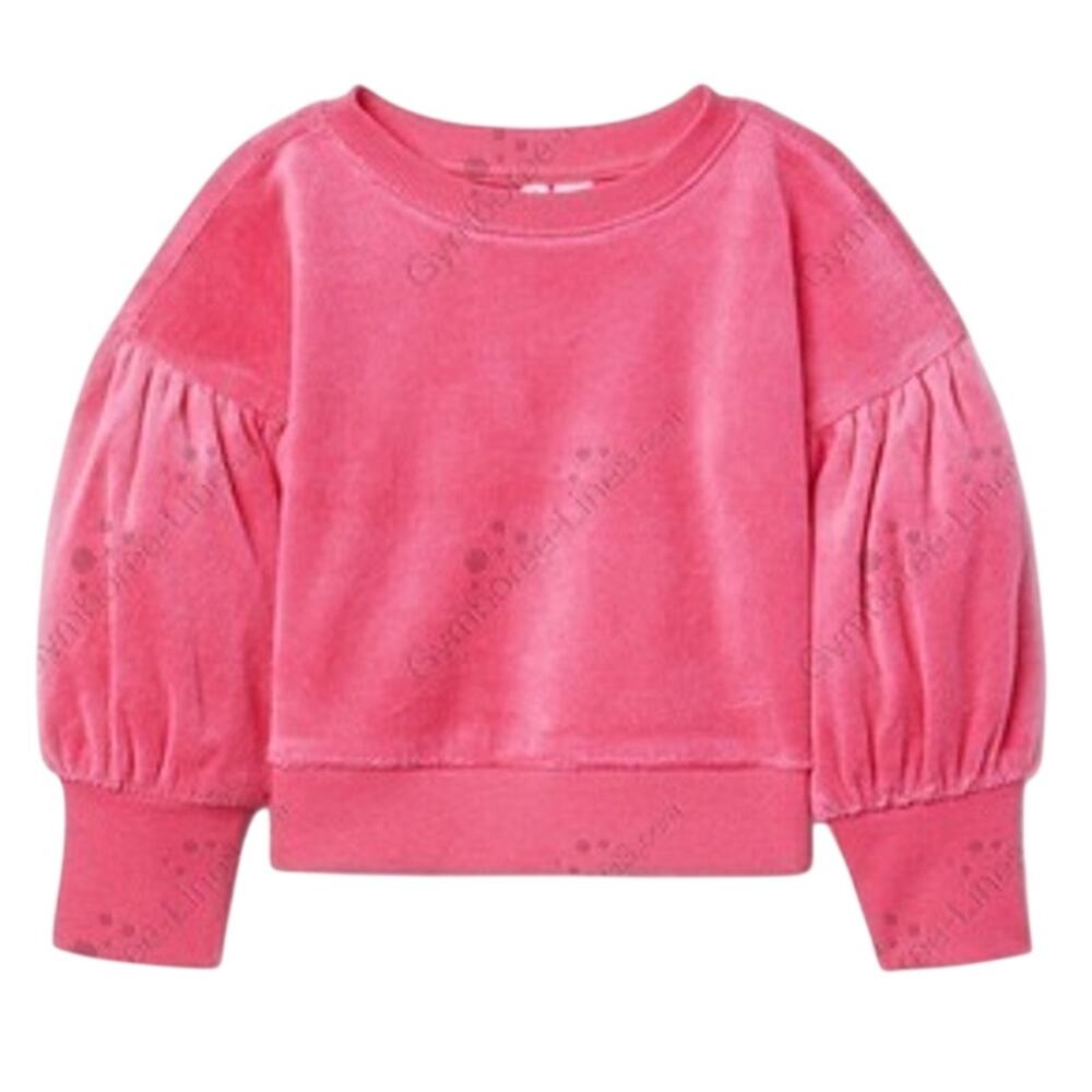 Janie and Jack Pink Velour Sweatshirt - Baby Girl 18-24M